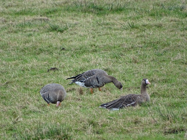 无数次苦练 无数次苦练