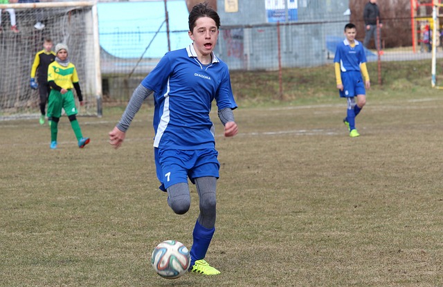 获得部分网 获得部分网