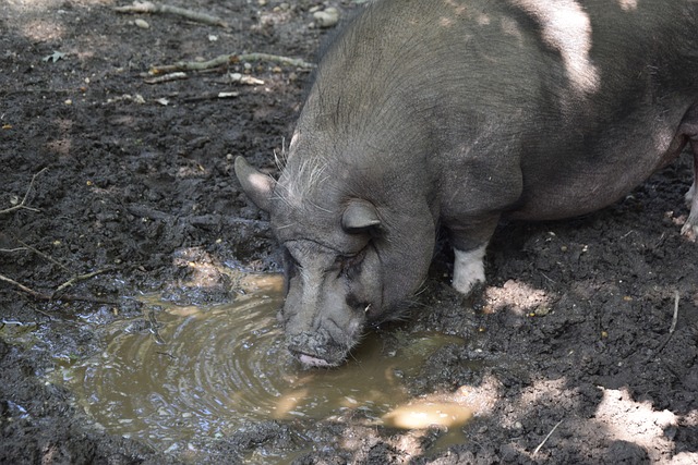 各国运动员 各国运动员