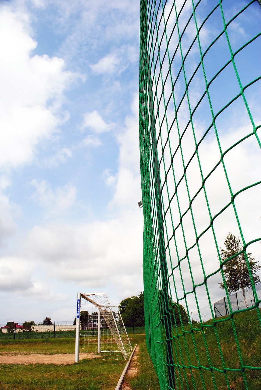 中仍有可能 中仍有可能