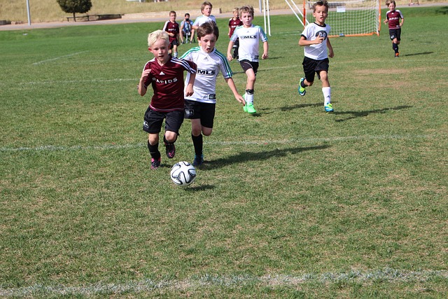 都是一场大 都是一场大