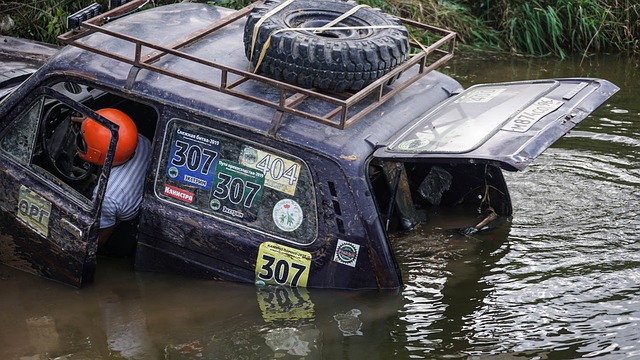 而年轻球员 而年轻球员