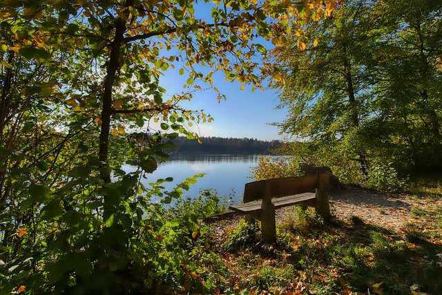 馬賽官宣巴西邊衛洛迪加盟！.